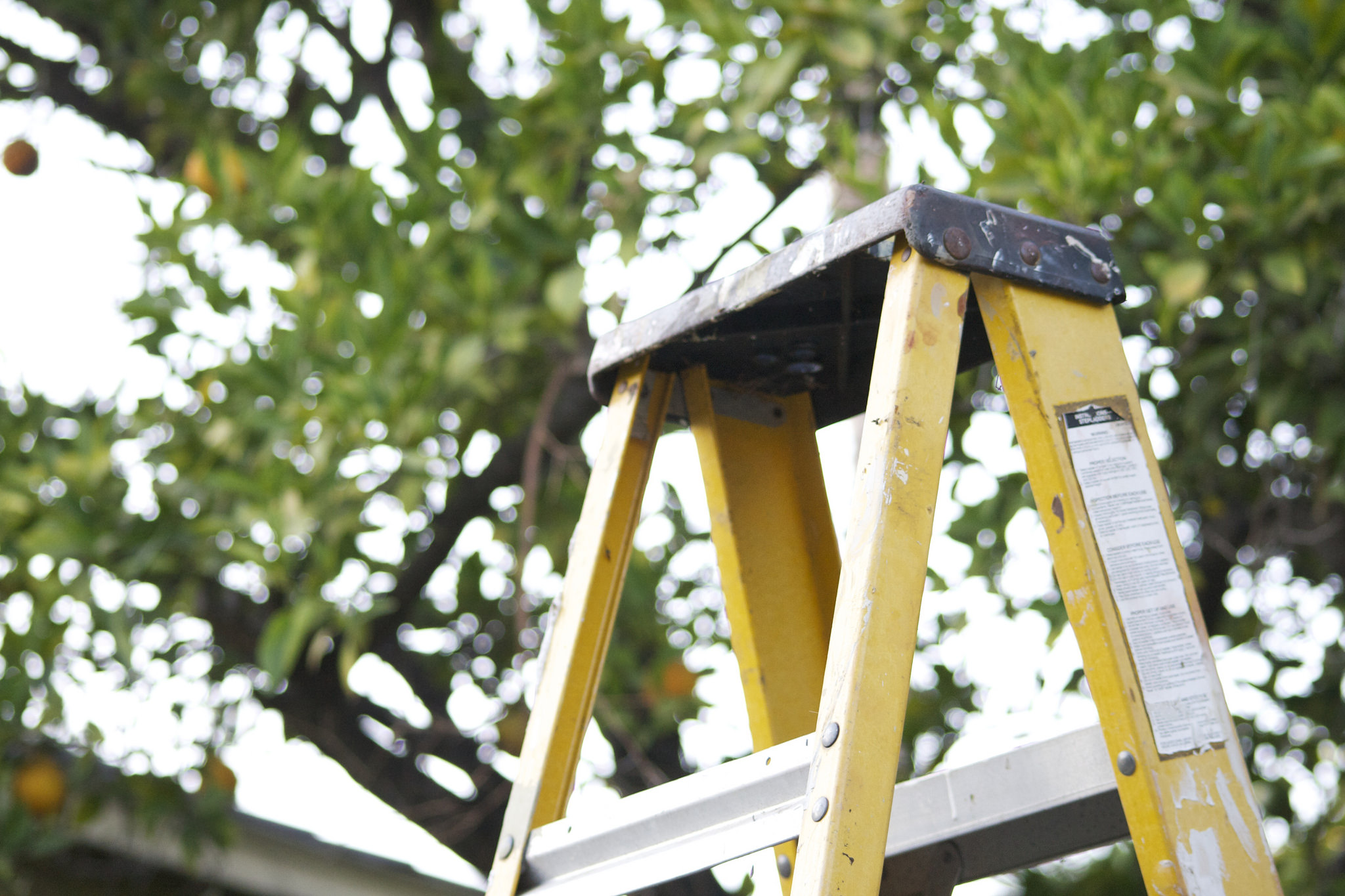 How To Use Ladders Safely When Doing DIY
