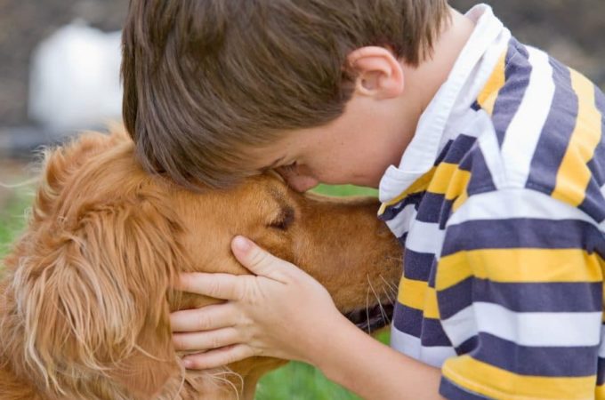 What Are the Great Benefits of Dogs?