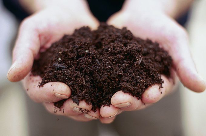 Creating Sustainable Soil – Tips for Long-Term Soil Health