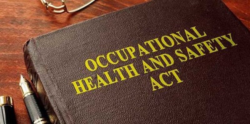 What Occupational Health and Safety Management Is and Its Advantages