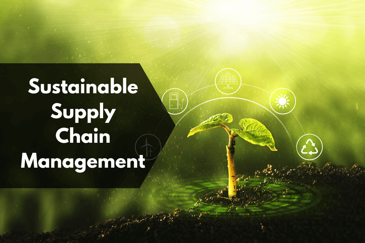 Why Supply Chain Sustainability Is Important