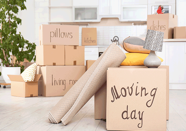 Top Tips for Professional Movers: Make Your Move Stress-Free with Charlotte Moving Companies
